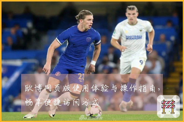 欧博网页版使用体验与操作指南，畅享便捷访问方式