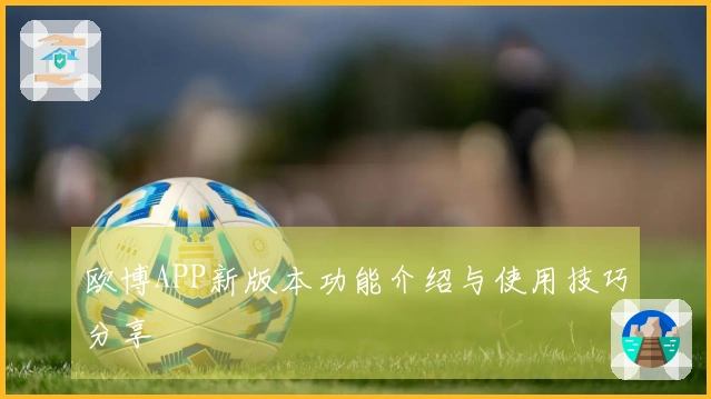 欧博APP新版本功能介绍与使用技巧分享