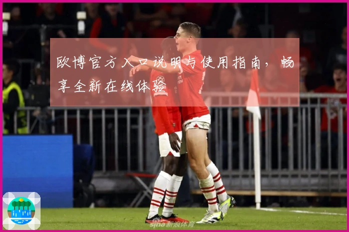 欧博官方入口说明与使用指南，畅享全新在线体验