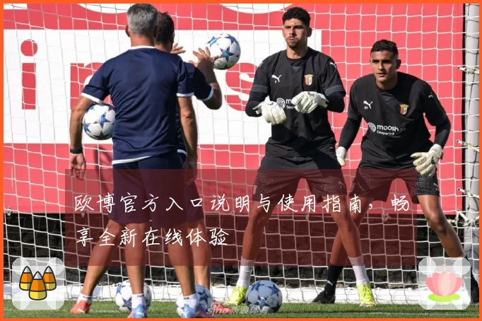 欧博官方入口说明与使用指南,畅享全新在线体验