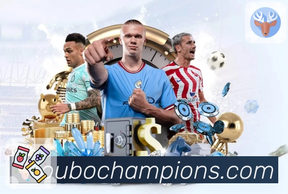 服务体验认证展示